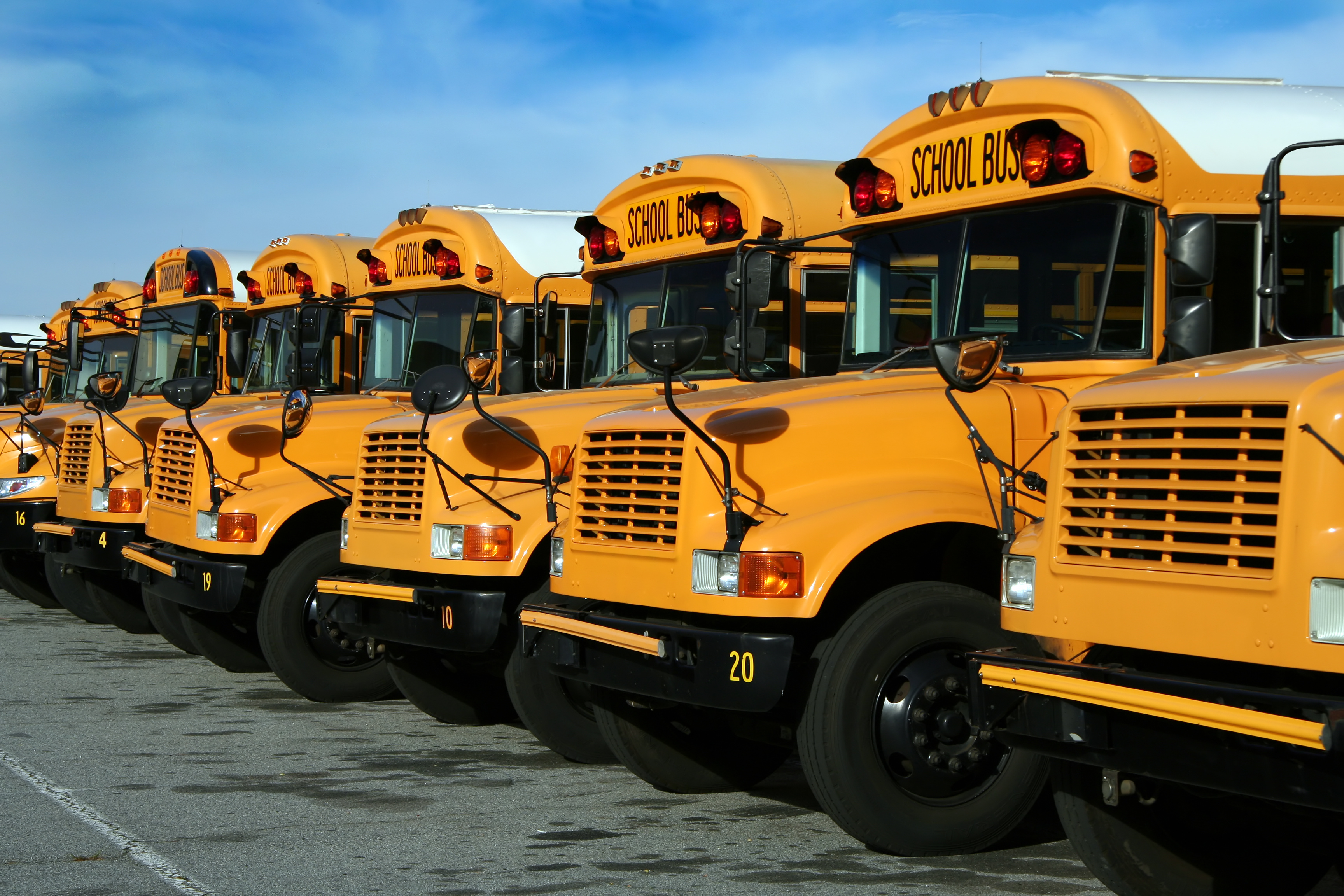 A long row of parked public school buses.