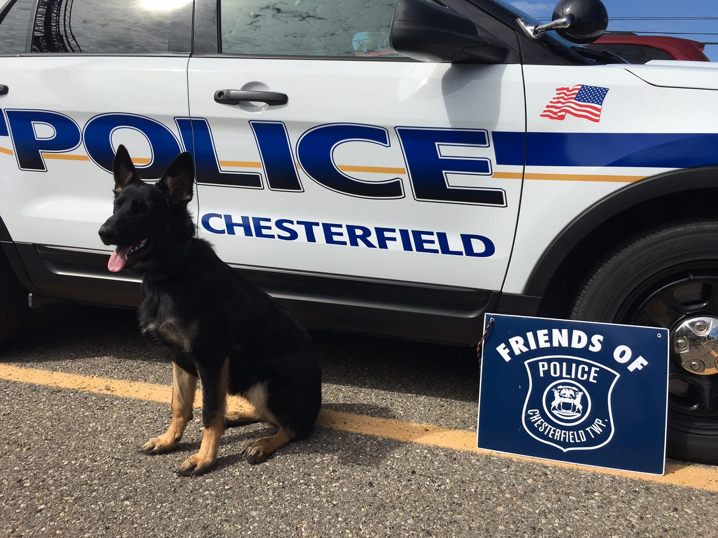 Police K-9 beside a Chesterfield Township patrol vehicle